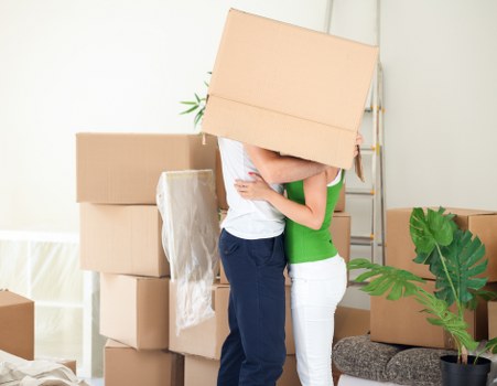 Man and van removal vehicle option