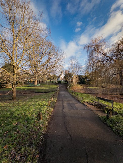A paved pathway leading uphill through a park or garden area with bare deciduous trees on both sides, indicating late autumn or winter. To the right of the path, there is a wooden bench and a low wood